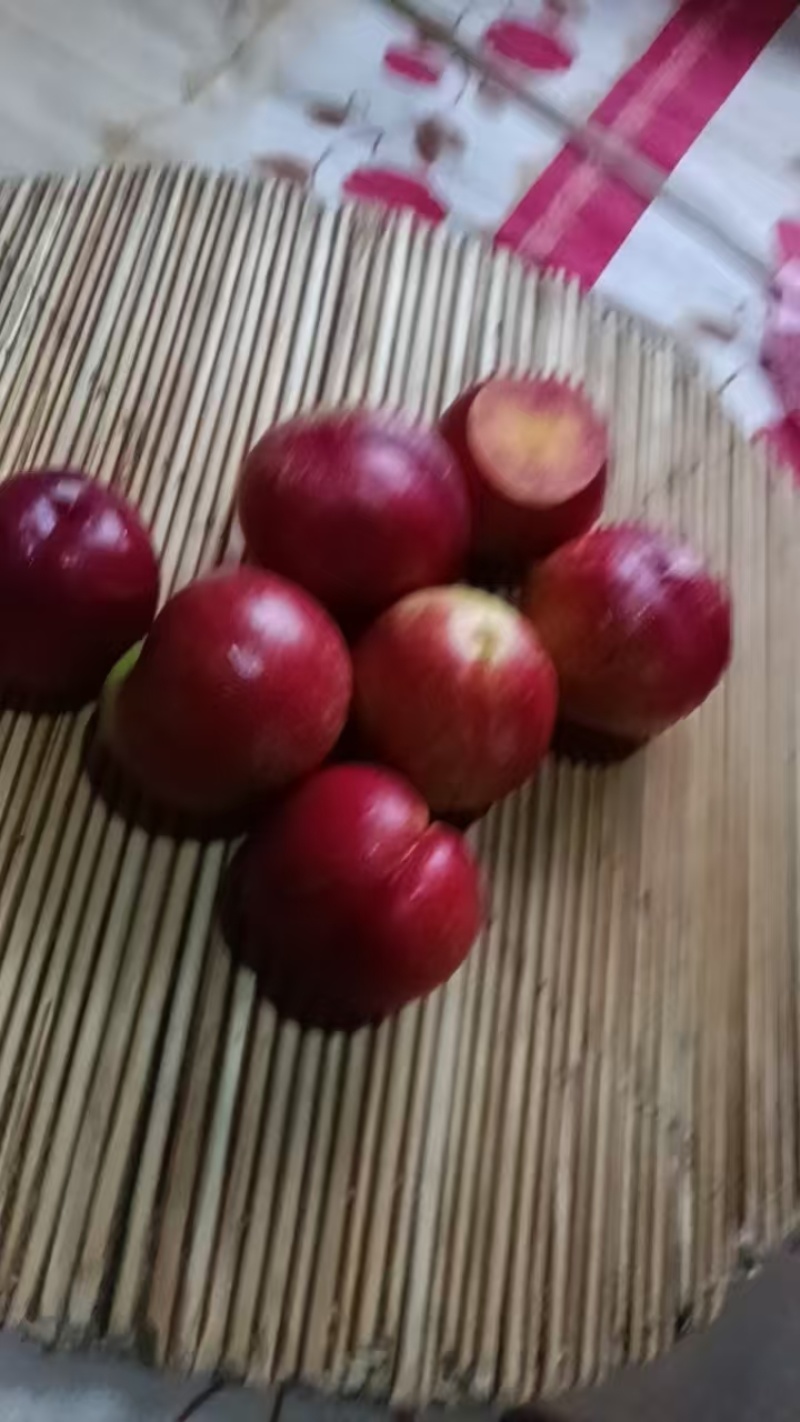 威县油桃，蟠桃大量上市！
