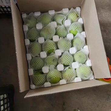 青苹果一件代发