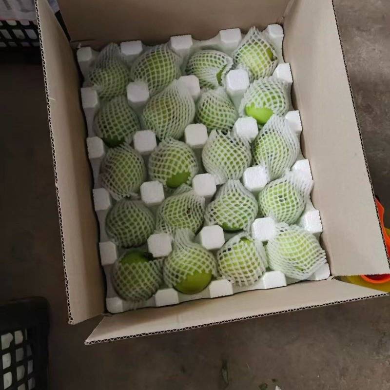 青苹果一件代发