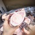 带肉牛棒骨前棒骨