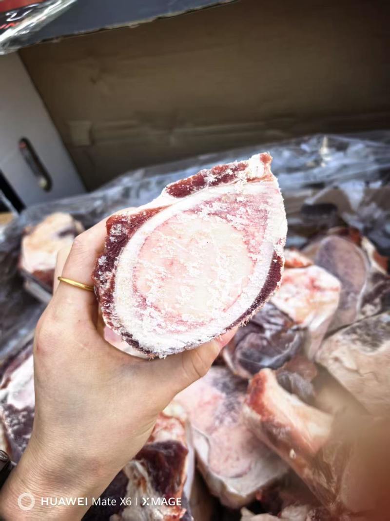 带肉牛棒骨前棒骨