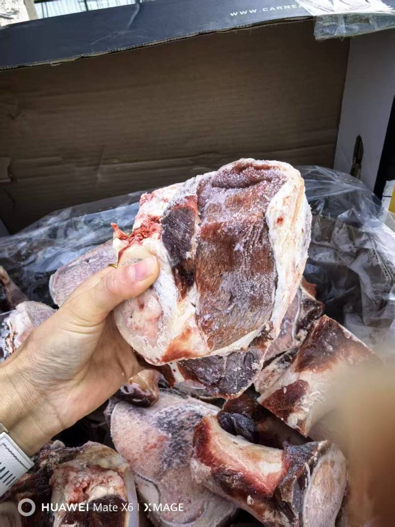 带肉牛棒骨前棒骨