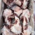 带肉牛棒骨前棒骨