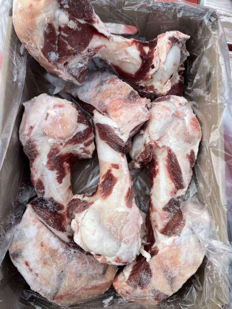 带肉牛棒骨前棒骨