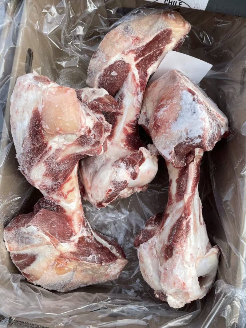 带肉牛棒骨前棒骨