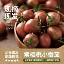 崇明本地生态紫樱桃100斤起售