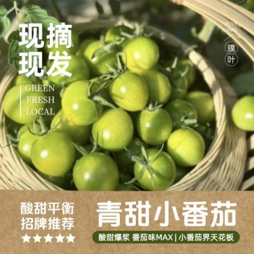 崇明生态青甜小番茄100斤起售