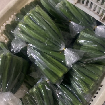 大家好今天是6月9号开始精挑细选过程中，分享给大家看看