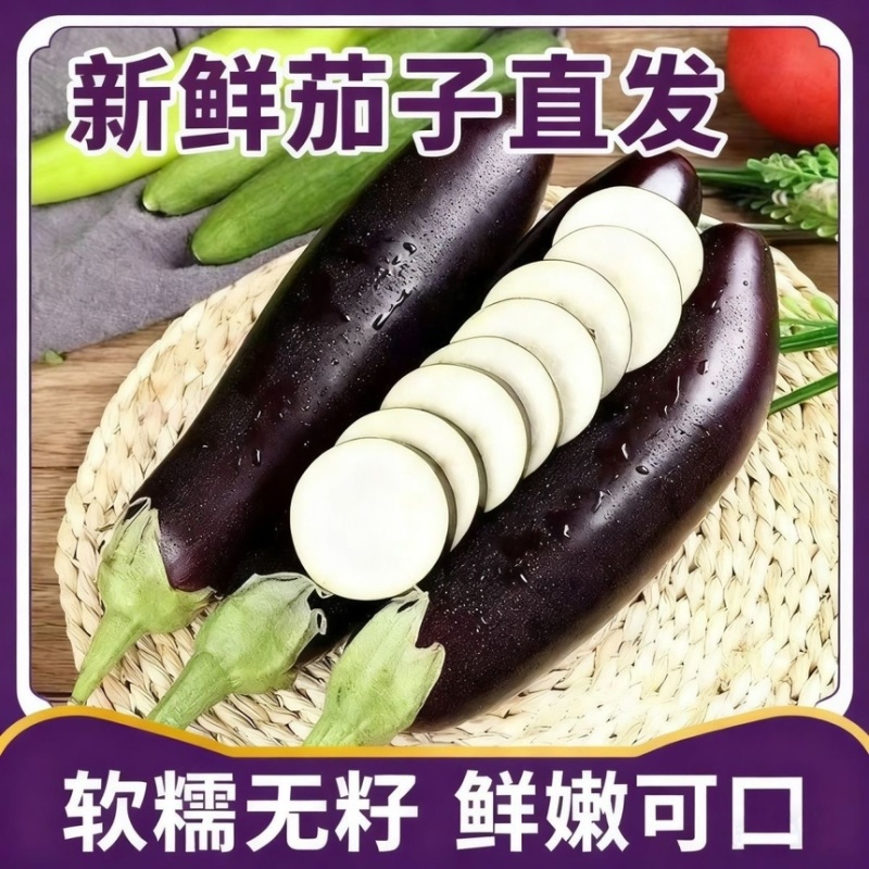 山东莘县长茄源头直供当天采摘中国蔬菜**县