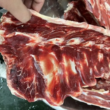 国产牛腰椎骨