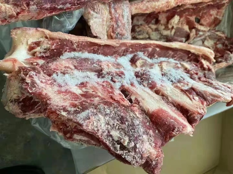 国产牛腰椎骨
