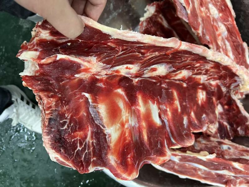 国产牛腰椎骨