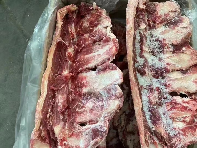 国产牛腰椎骨