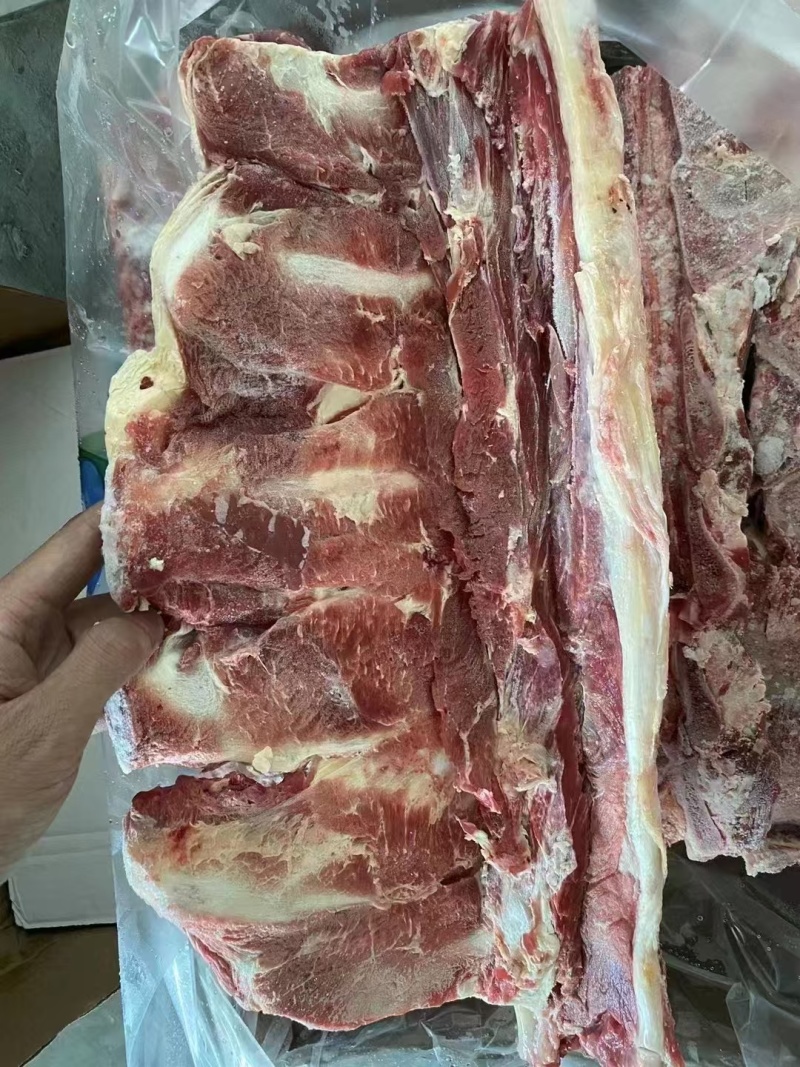 国产牛腰椎骨