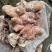 【熟食羊头肉】