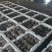 精品鲜平菇河北沽源产地直供肉厚滑嫩菌香浓郁