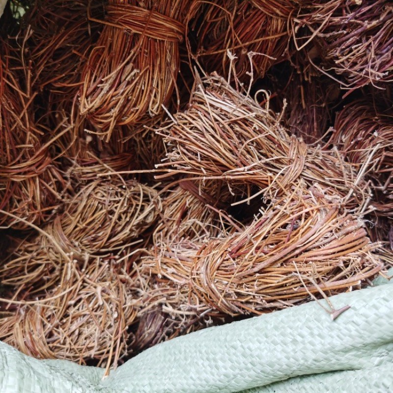 广西深山鸡骨草中药材新鲜鸡骨草干全草老藤鸡骨草捆无硫干货