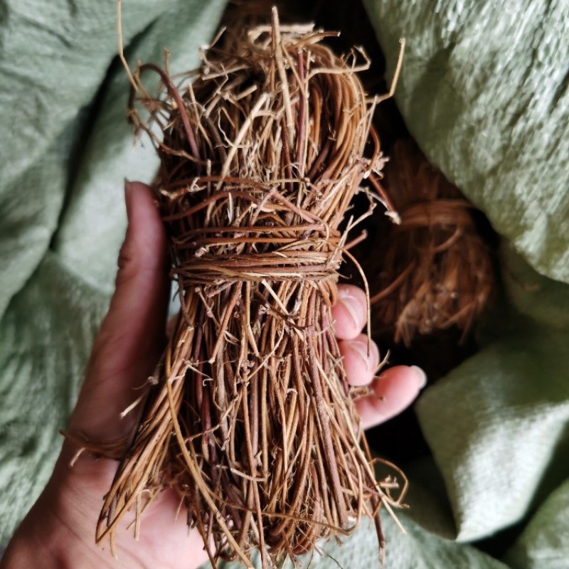 广西深山鸡骨草中药材新鲜鸡骨草干全草老藤鸡骨草捆无硫干货