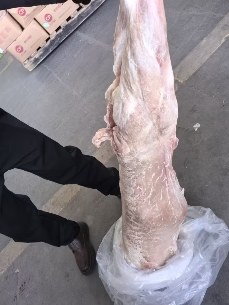 纯干内蒙鲜冻直条羊,表面有冲洗残留水份,解冻和新鲜的一样