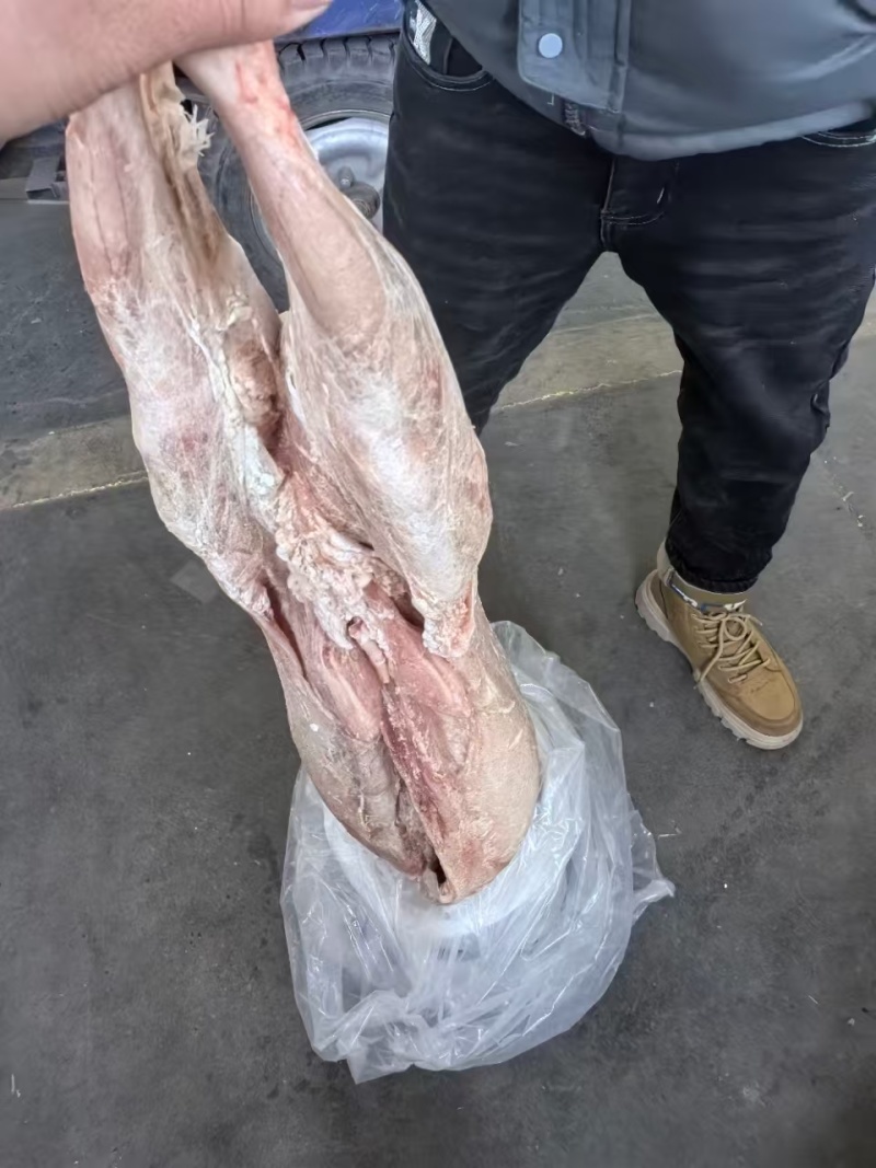 纯干内蒙鲜冻直条羊,表面有冲洗残留水份,解冻和新鲜的一样