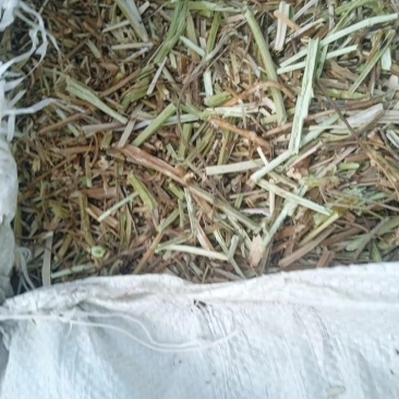 出售花生秧草十二吨左右,联系电话***********
