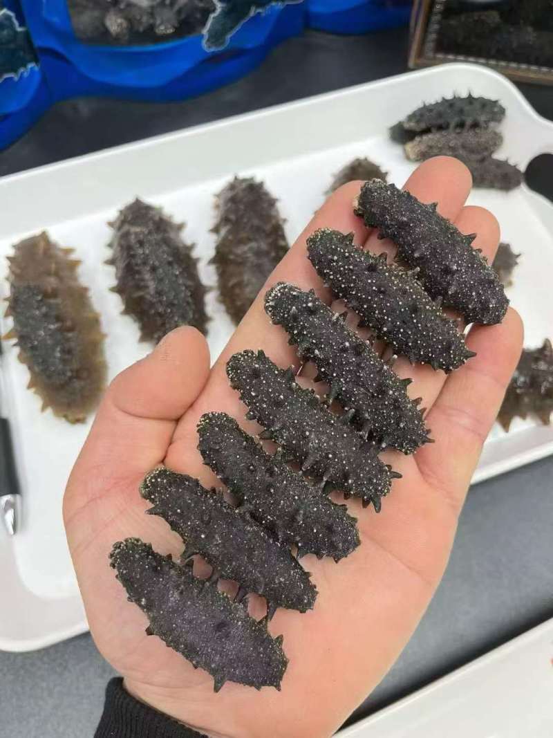 天然海参、即食海参、淡干海参，保质保量。视频选货