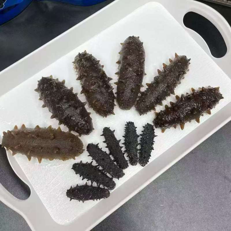 天然海参、即食海参、淡干海参，保质保量。视频选货