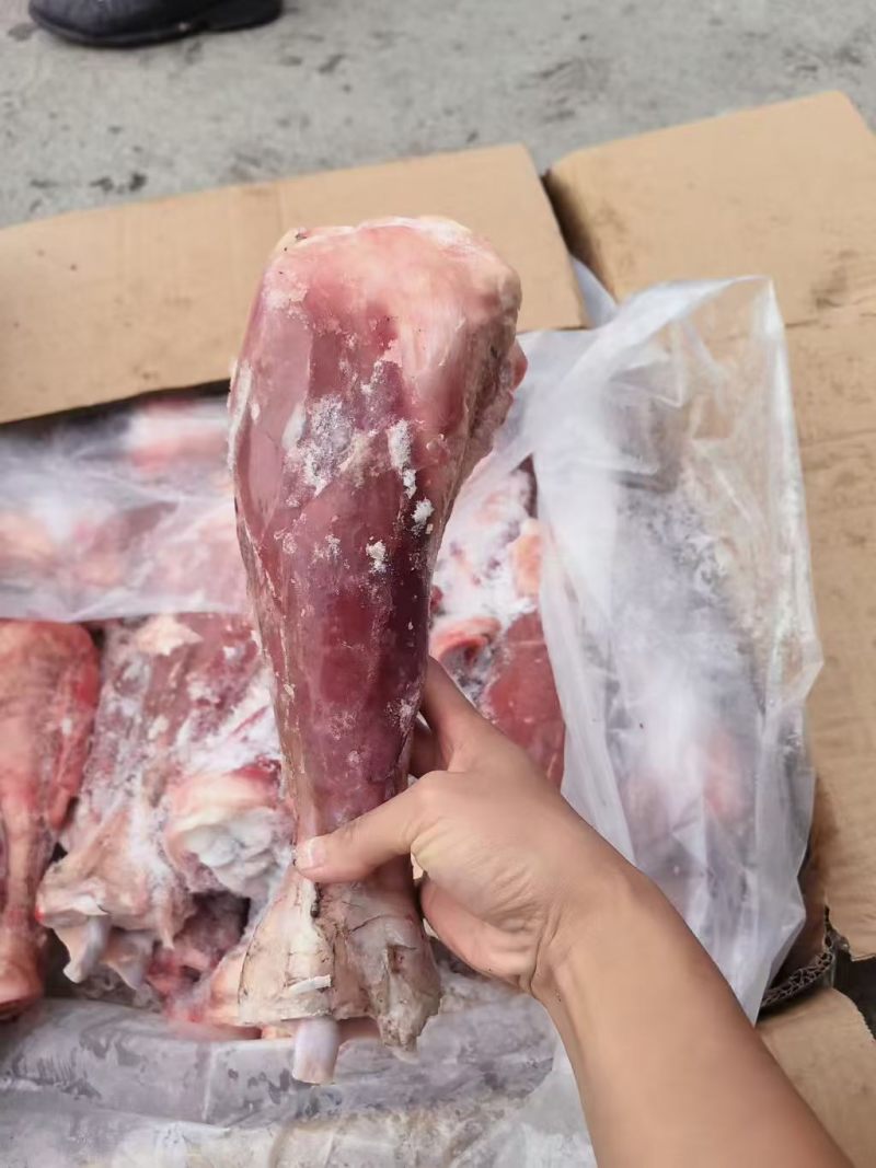 犊牛小腿