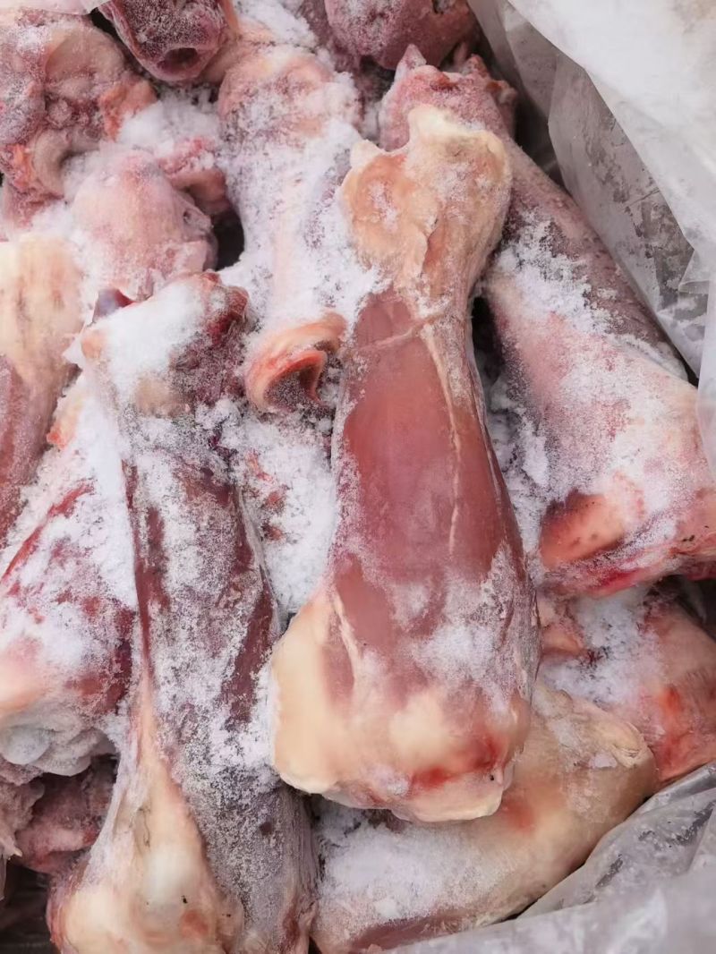 犊牛小腿