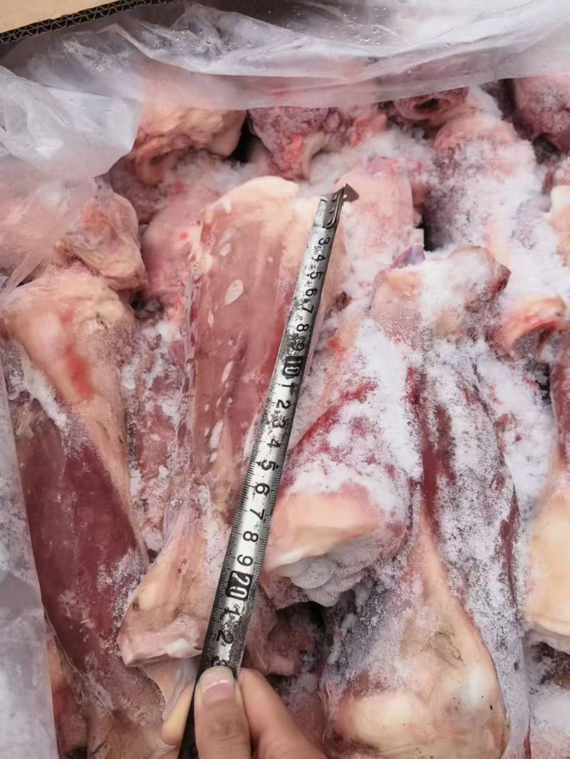 犊牛小腿