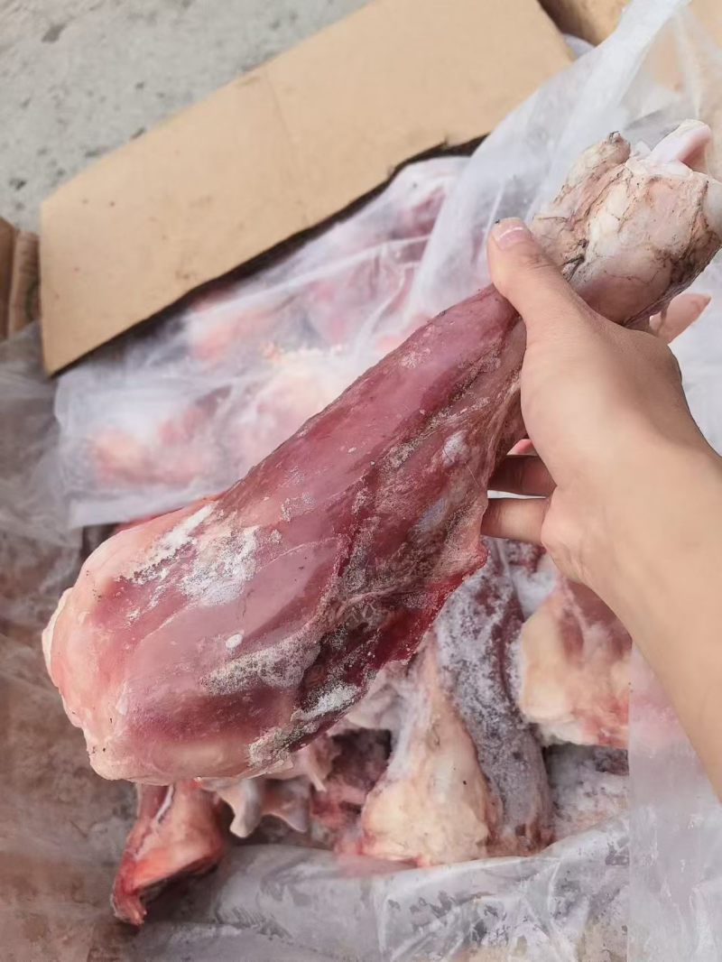犊牛小腿