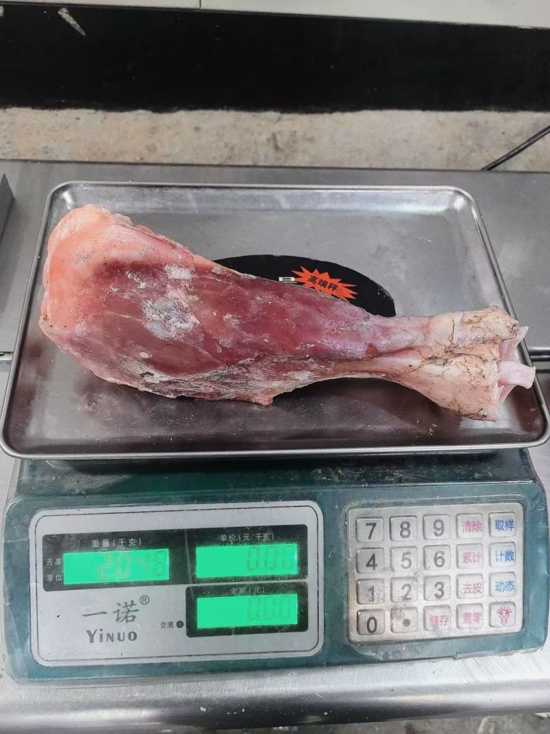 犊牛小腿