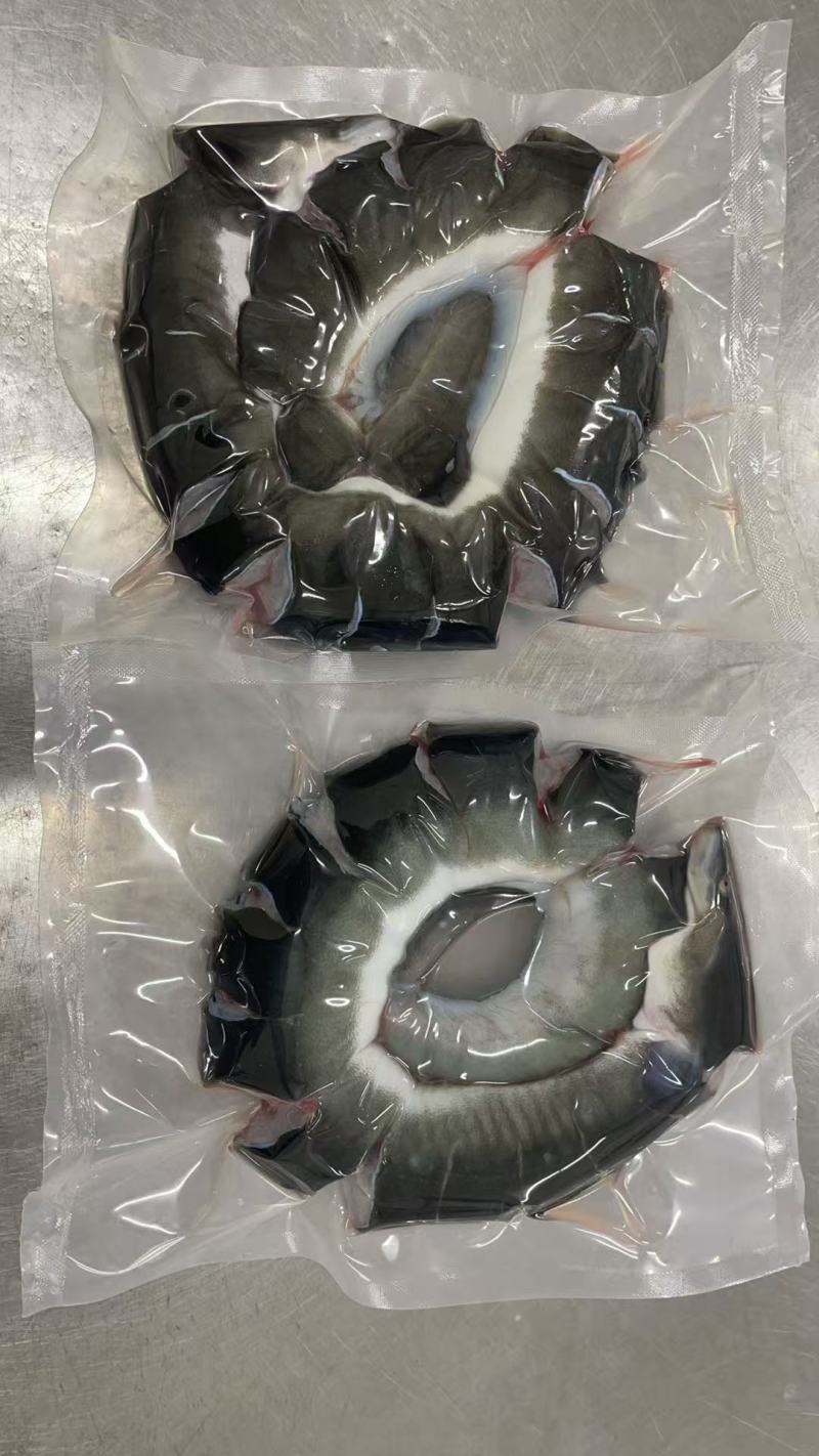 整条盘龙鳗鱼