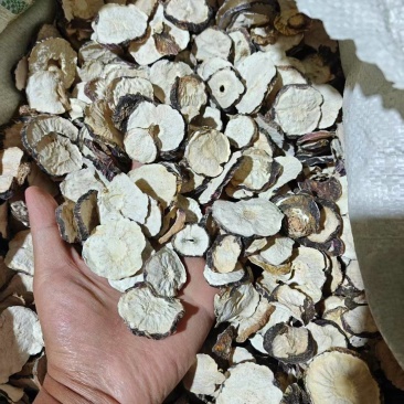 （玛卡）黑玛卡，玛卡片，云南玛卡/产地货源/保质保量发货