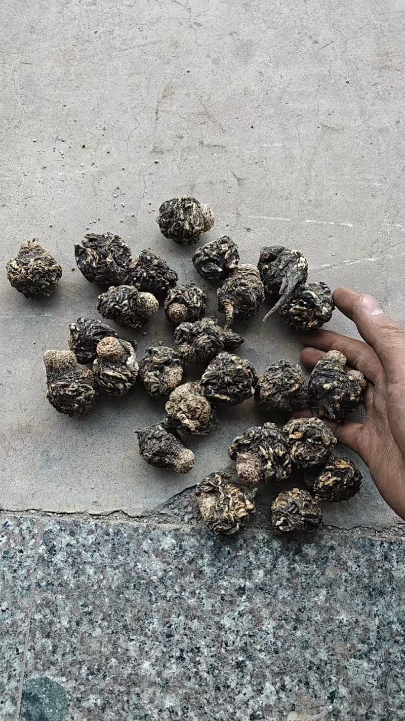 （玛卡）黑玛卡，玛卡片，云南玛卡/产地货源/保质保量发货