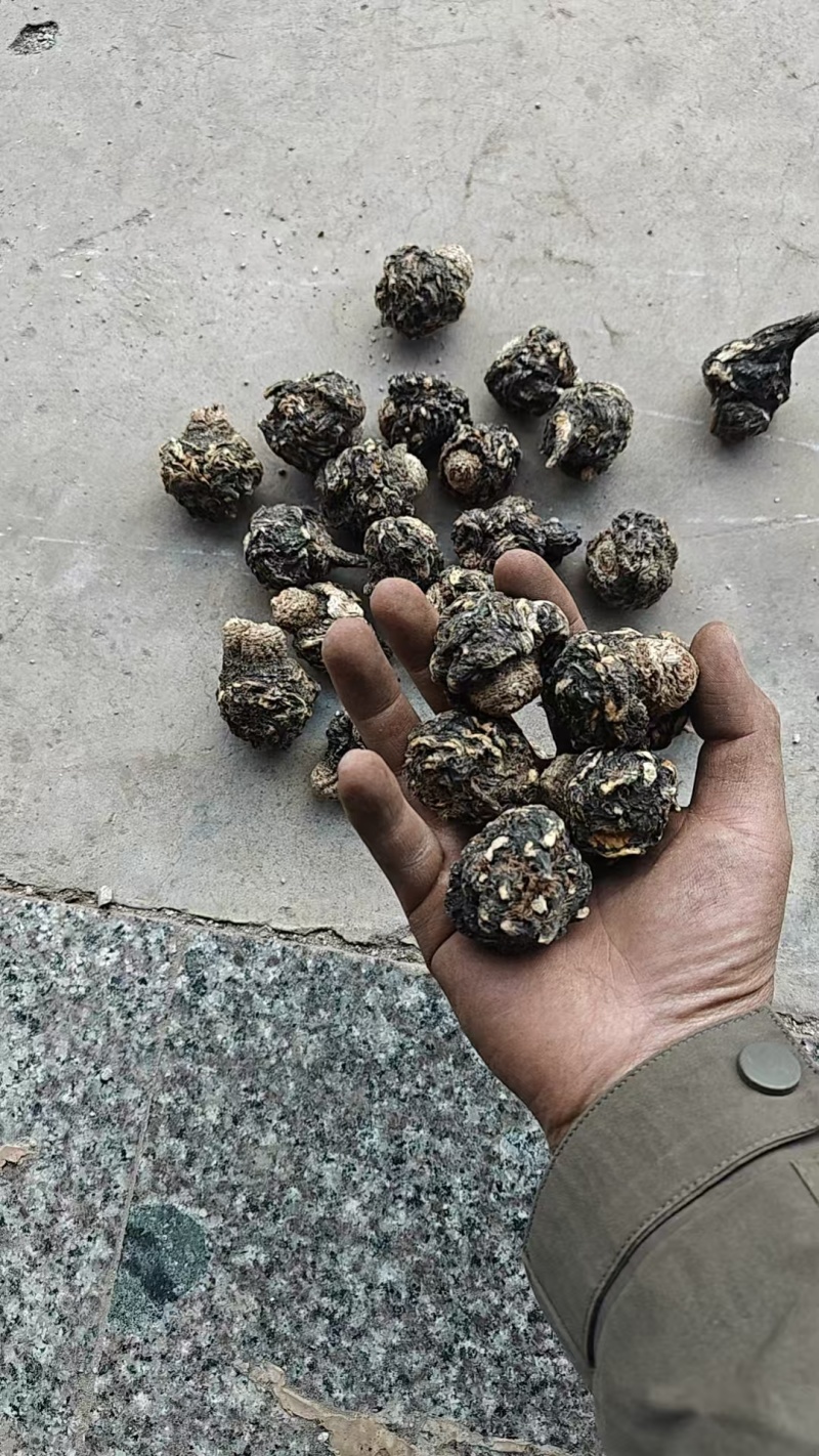 （玛卡）黑玛卡，玛卡片，云南玛卡/产地货源/保质保量发货