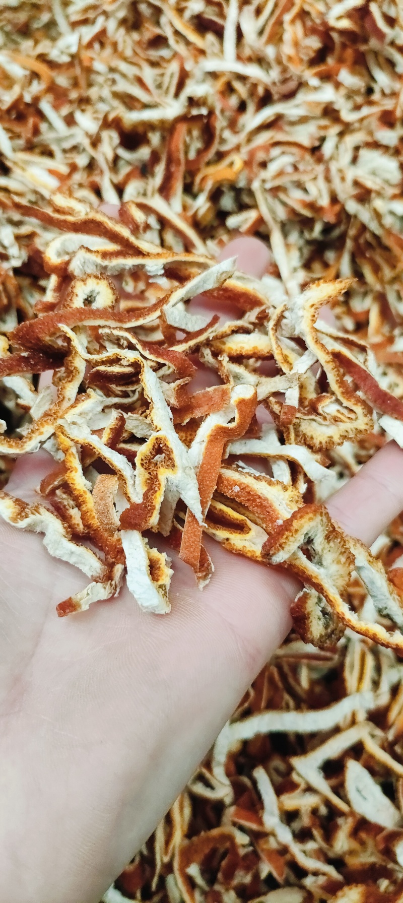 陈皮杂丝，选货，都有，