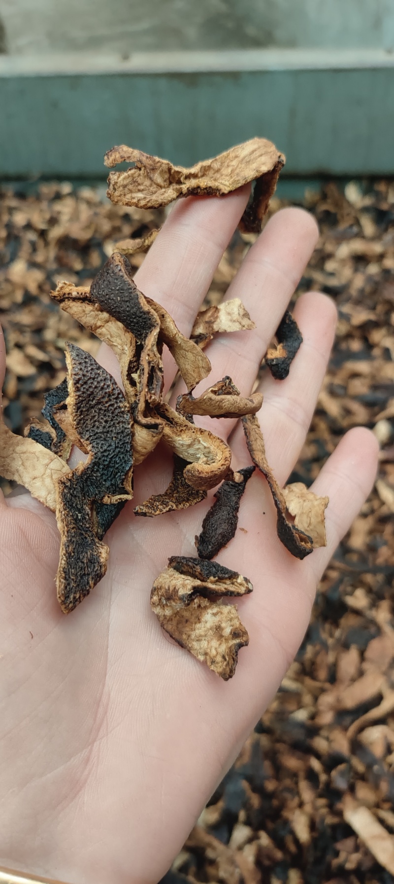 陈皮丝陈皮专营