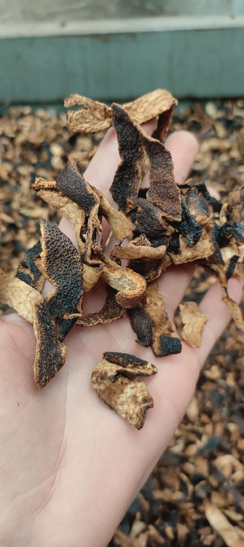 陈皮丝陈皮专营