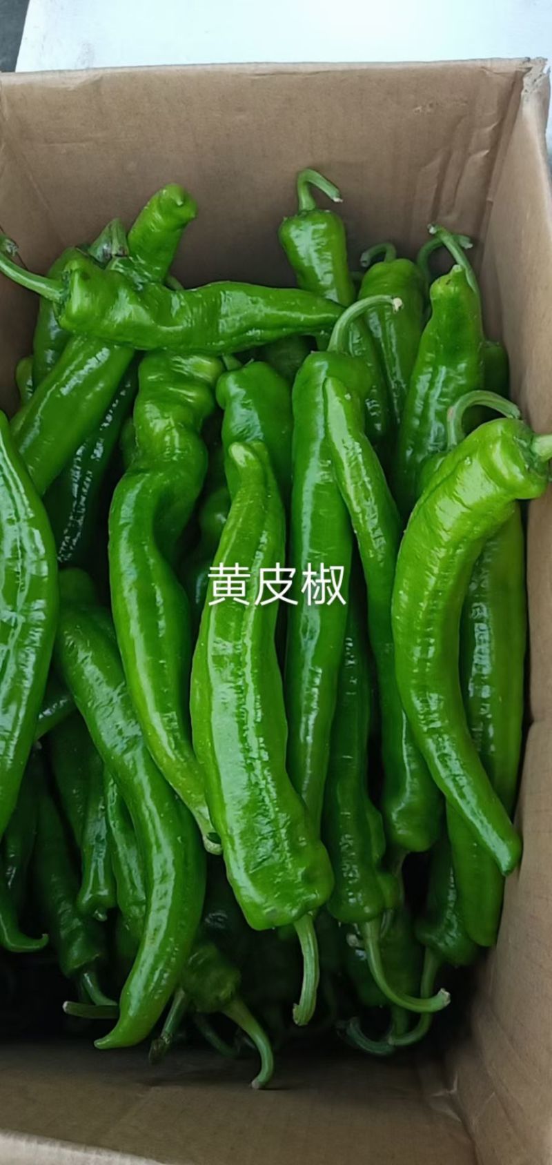 辣椒