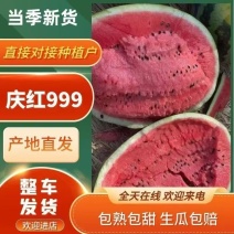 地雷西瓜东北吉林西瓜品种多样规格全大量上市了