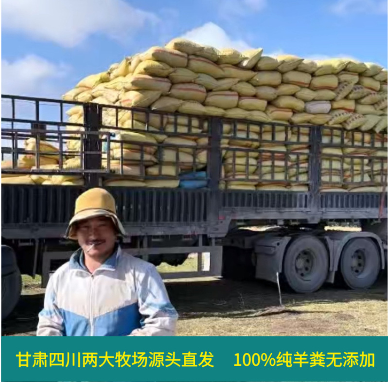 甘肃四川草原纯羊粪有机肥源头货源，整车大批量批发