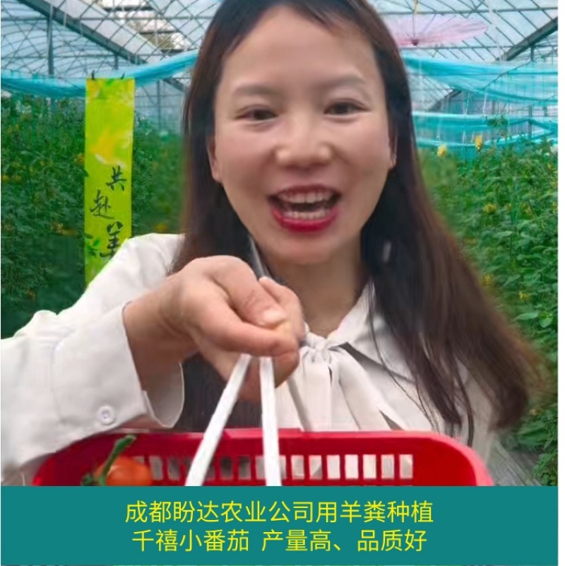 甘肃四川草原纯羊粪有机肥源头货源，整车大批量批发