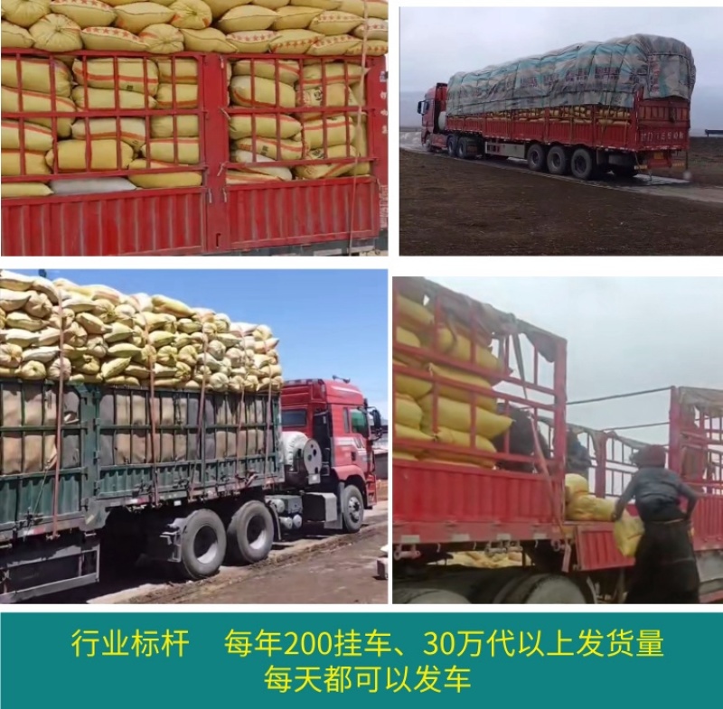 甘肃四川草原纯羊粪有机肥源头货源，整车大批量批发