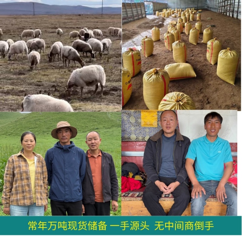 甘肃四川草原纯羊粪有机肥源头货源，整车大批量批发