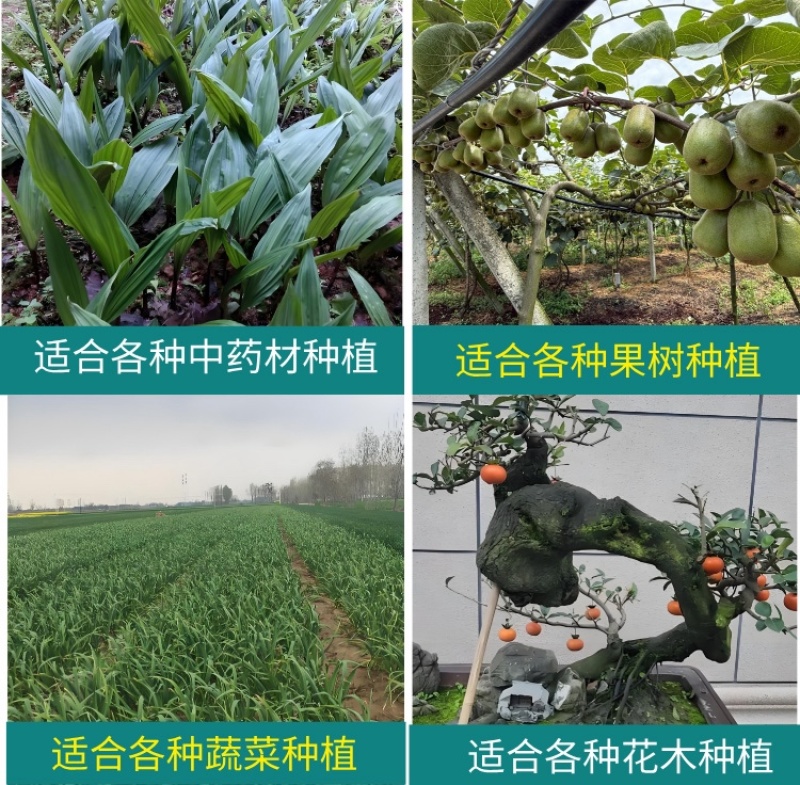 甘肃四川草原纯羊粪有机肥源头货源，整车大批量批发