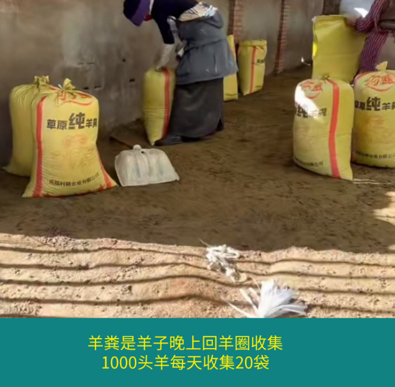 甘肃四川草原纯羊粪有机肥源头货源，整车大批量批发