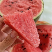 西瓜精品有籽麒麟美都6到14斤大量供应货源充足