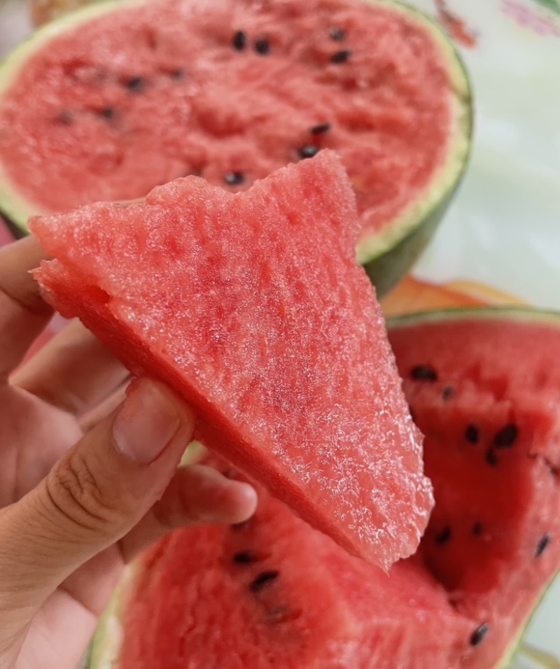 西瓜精品有籽麒麟美都6到14斤大量供应货源充足