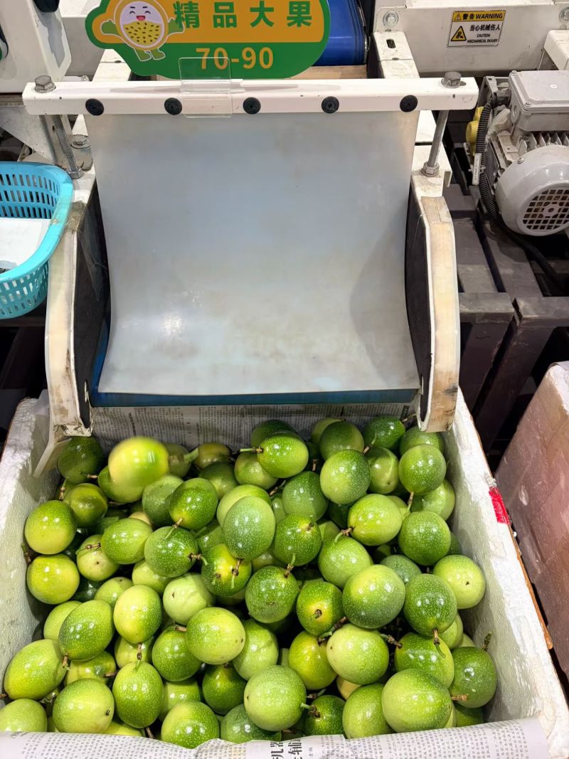 广东湛江百香果大量批发